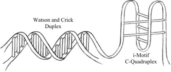 Cyborg 12 - Bytes & Genes