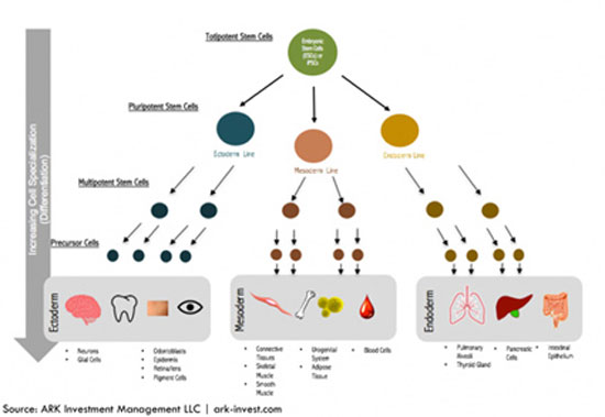 Cyborg 12 - Bytes & Genes