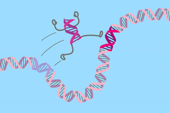 Bytes & Genes - Gyborg 17